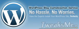 WordPress Blog Setup & Customization Service
