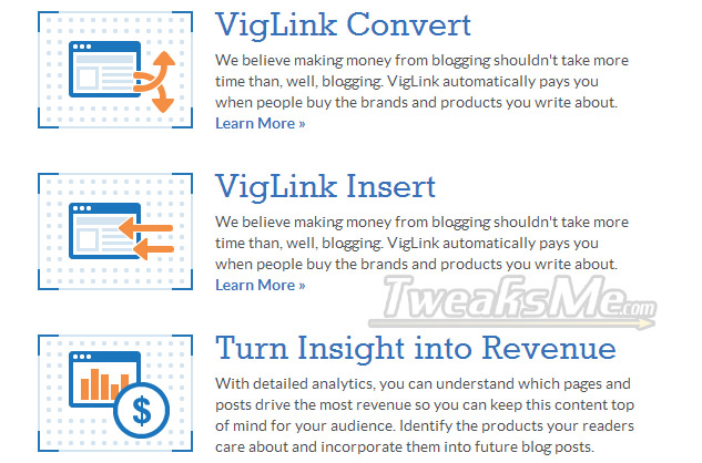 VigiLink Products
